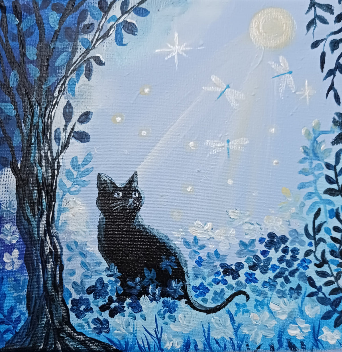 Magie de la nuit