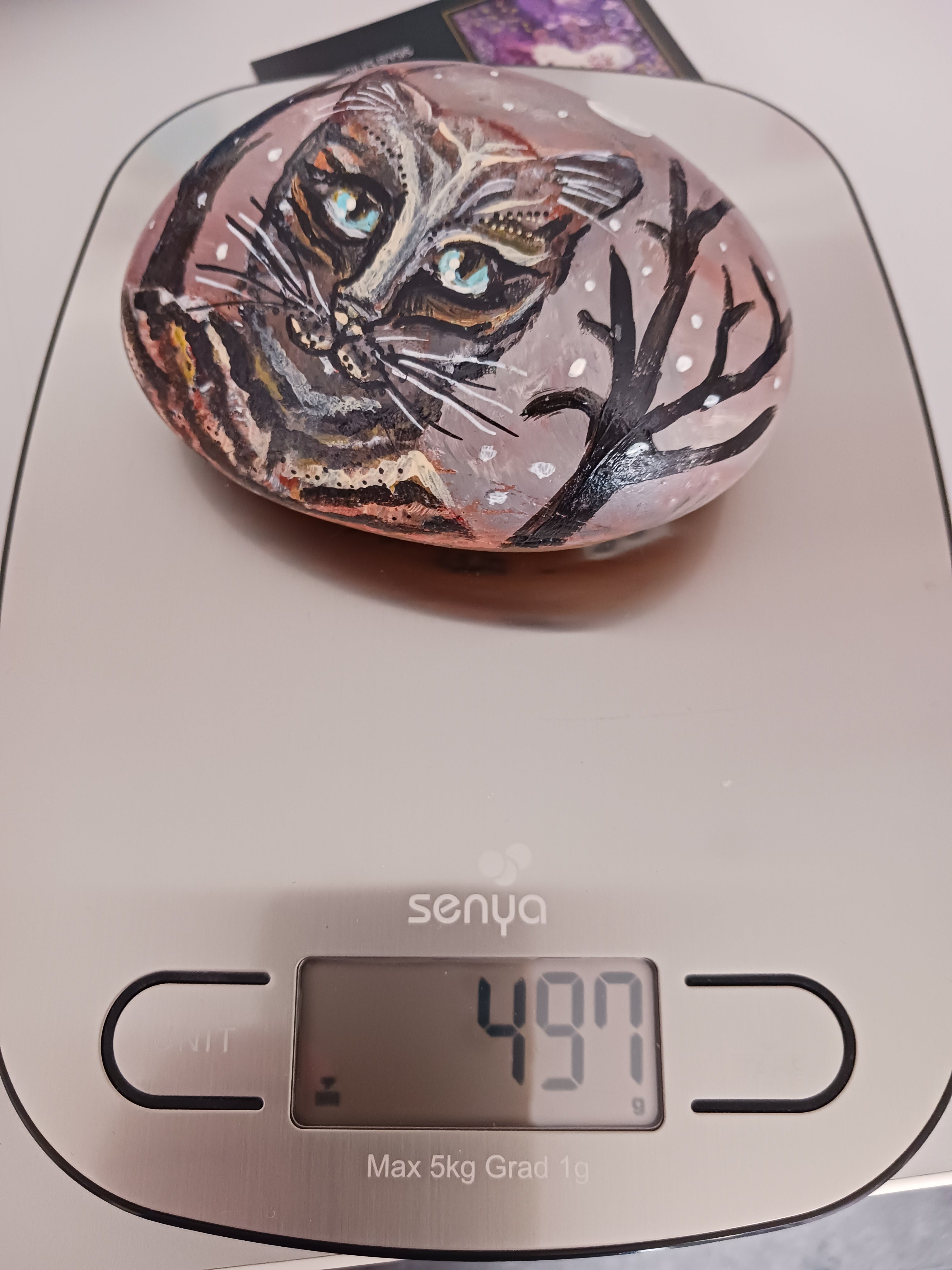 Chat sous la lune