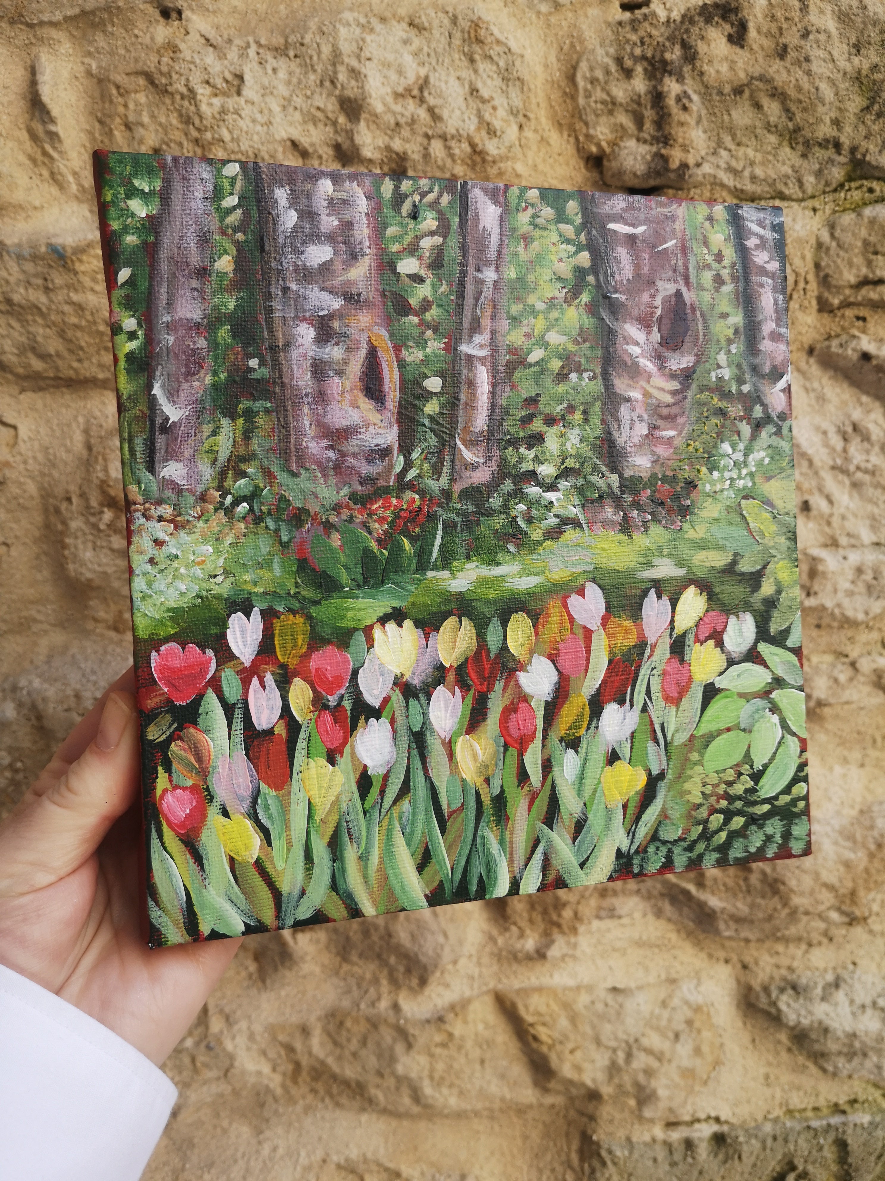 Massif de Tulipes