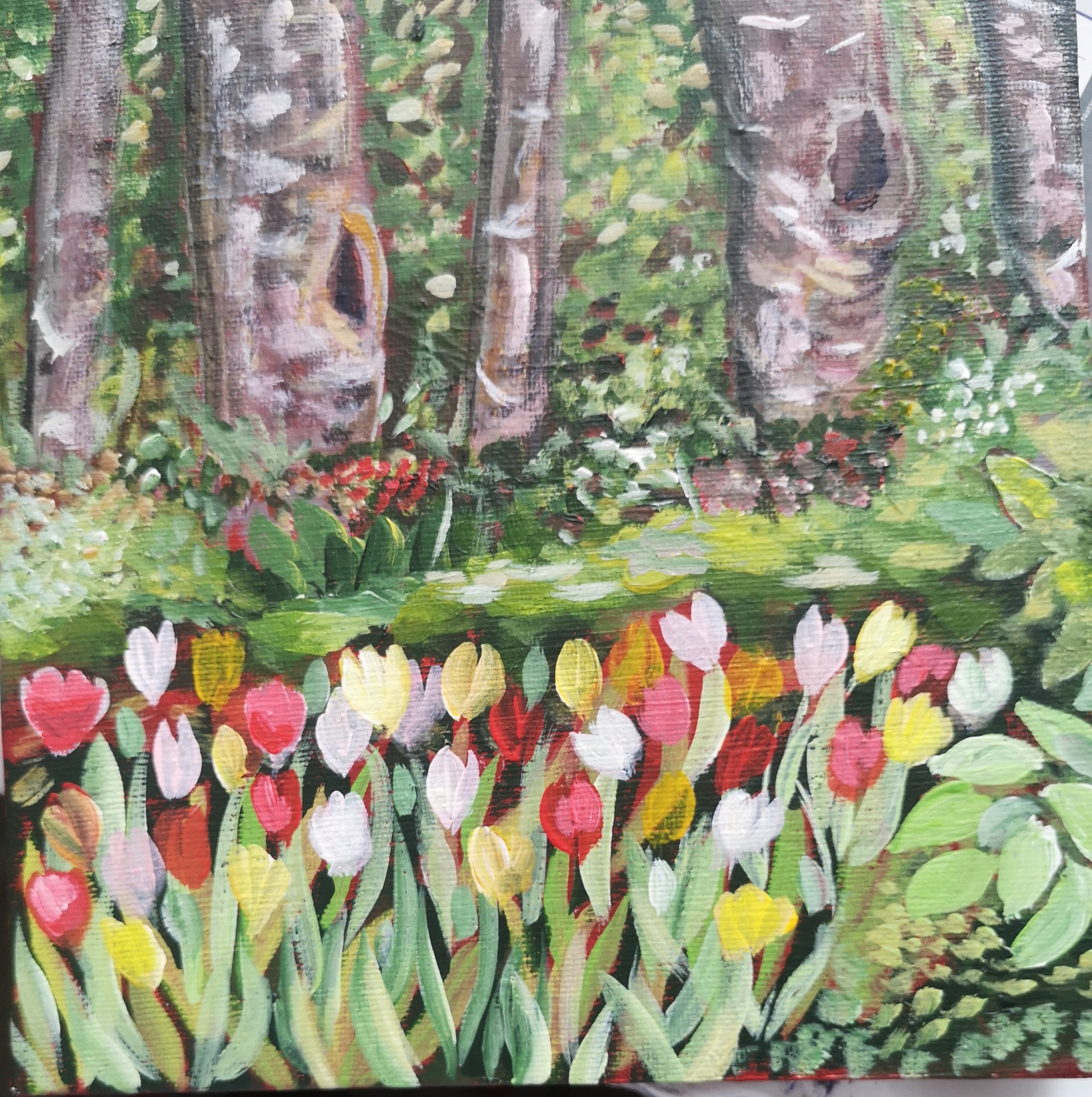 Massif de Tulipes