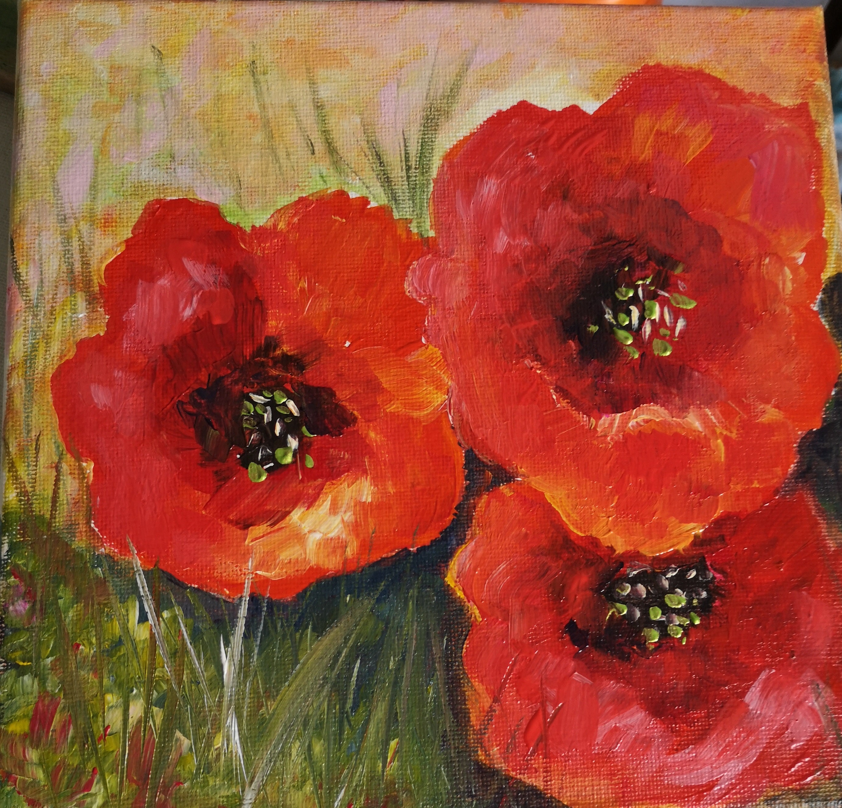coquelicots