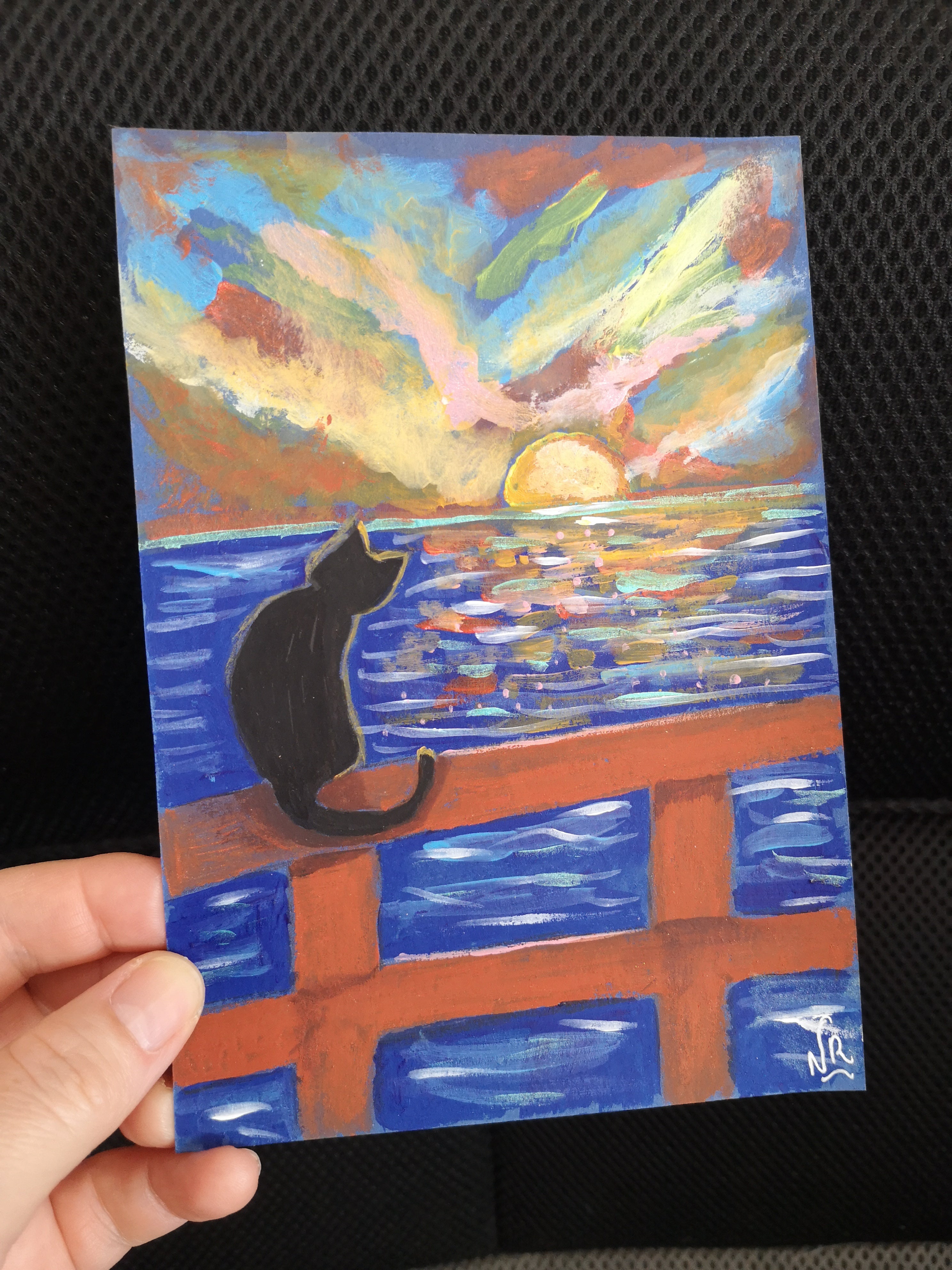 Chat noir , coucher de soleil