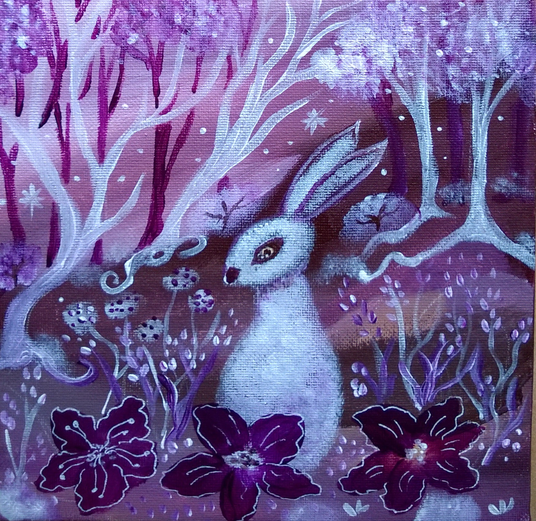Aube féérique