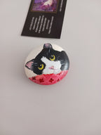 Minou sur plaid