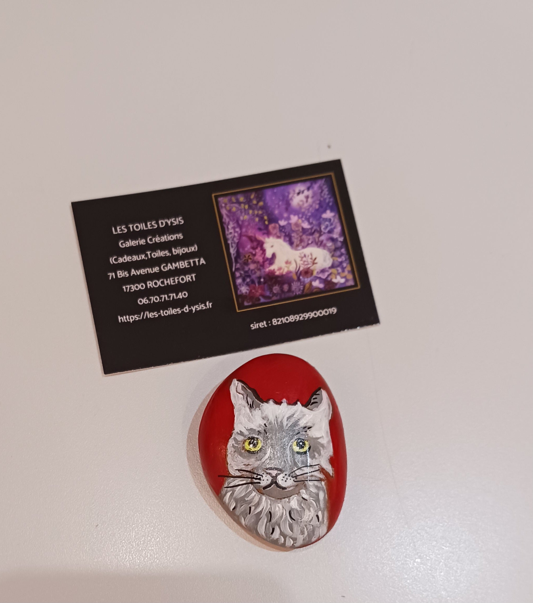 Galet Chat sur fond Rouge