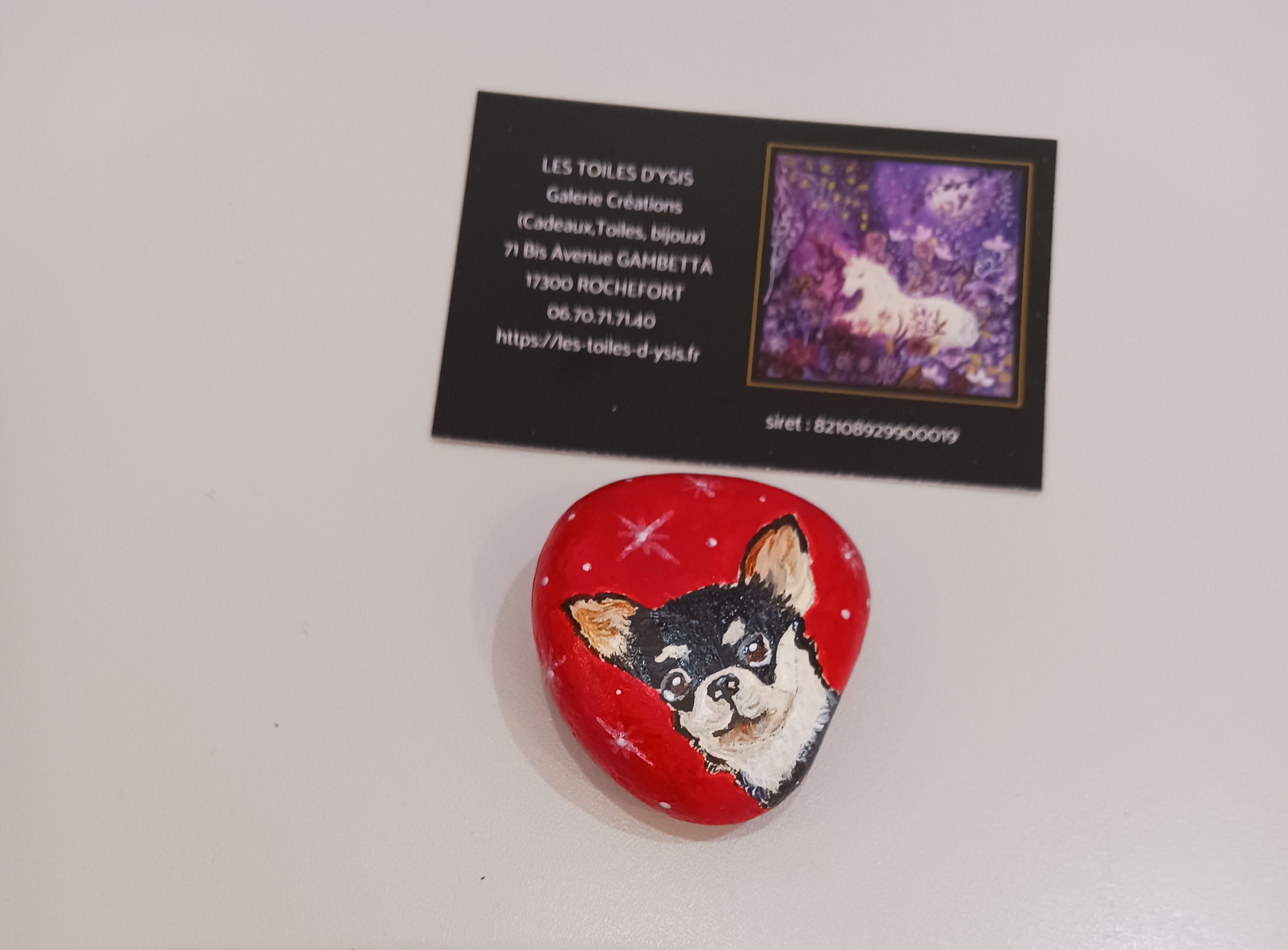 Petit chihuahua dans les étoiles
