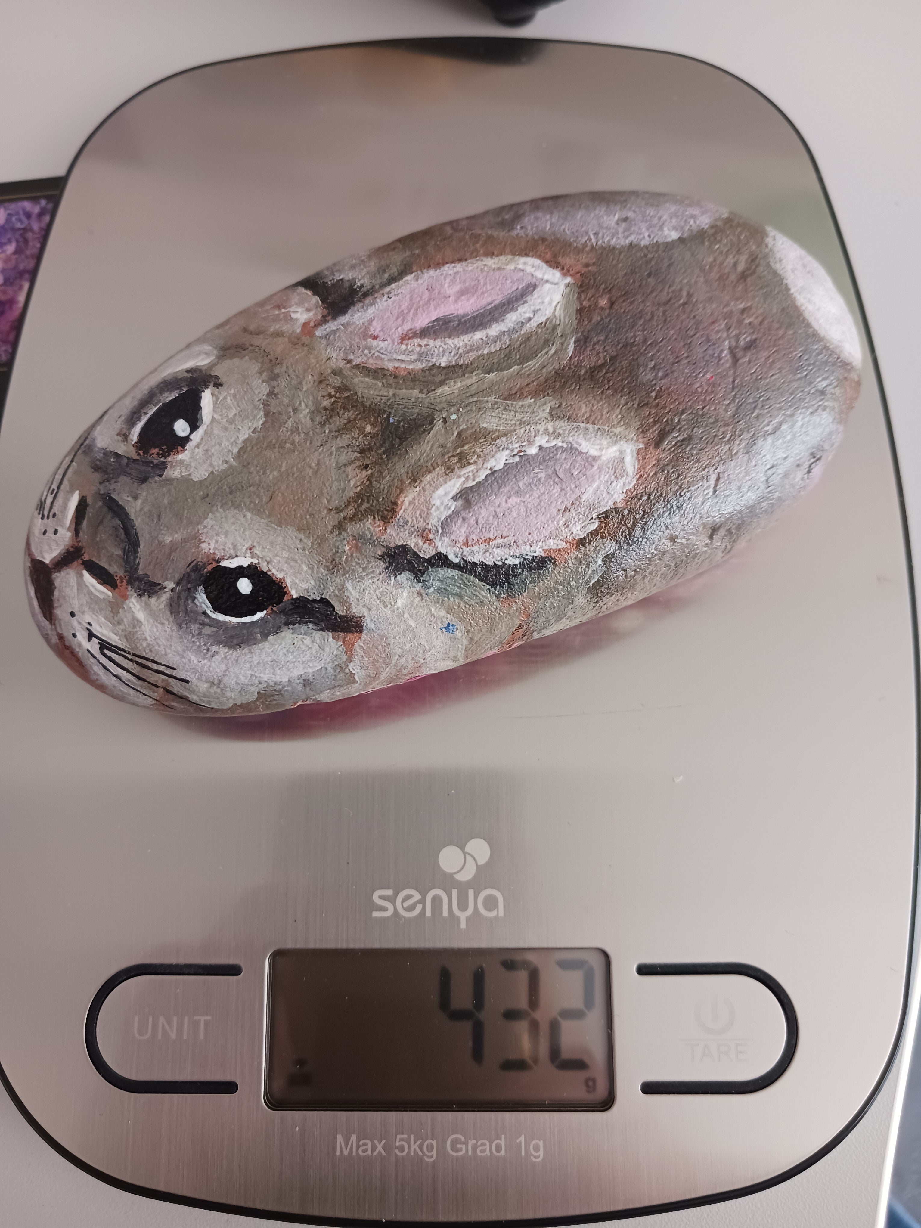 Petit lapin dans les fleurs