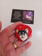 Petit chihuahua dans les étoiles