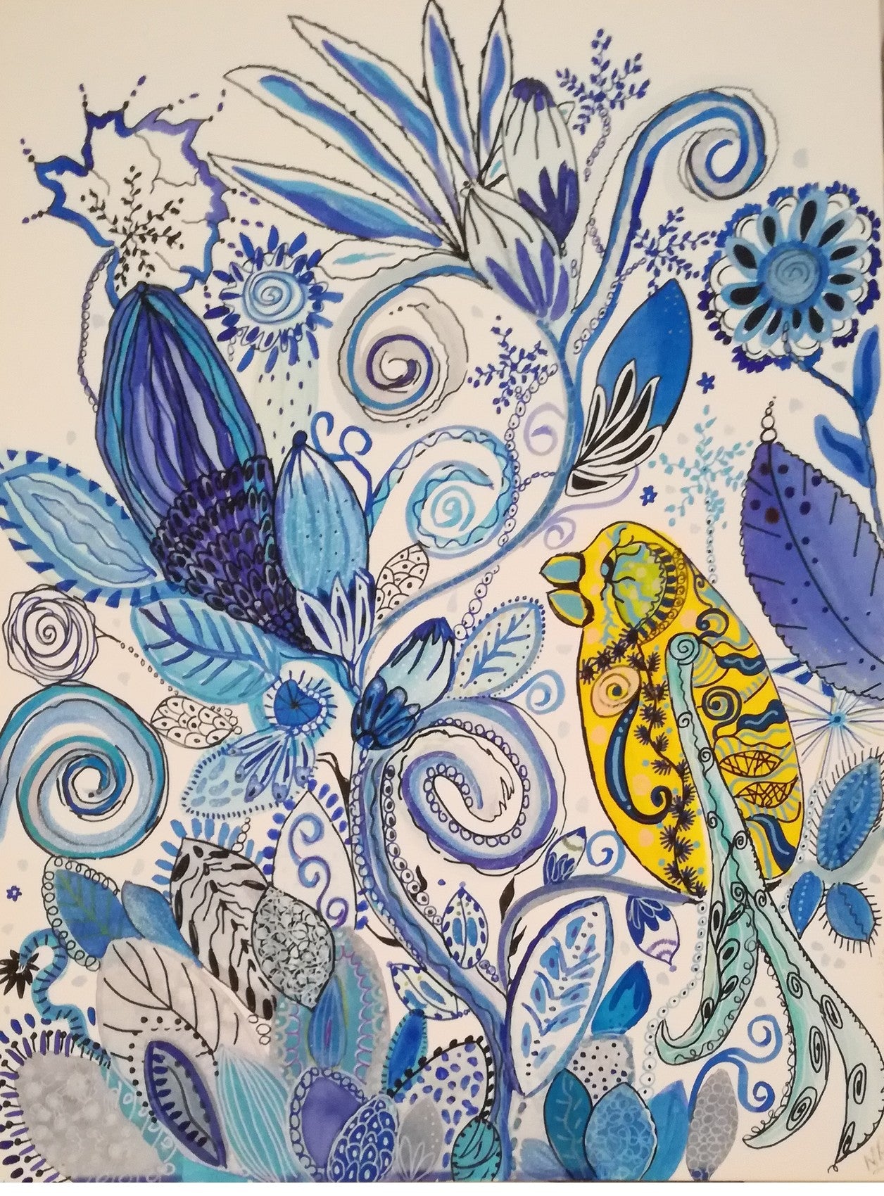 Petit oiseau des Iles