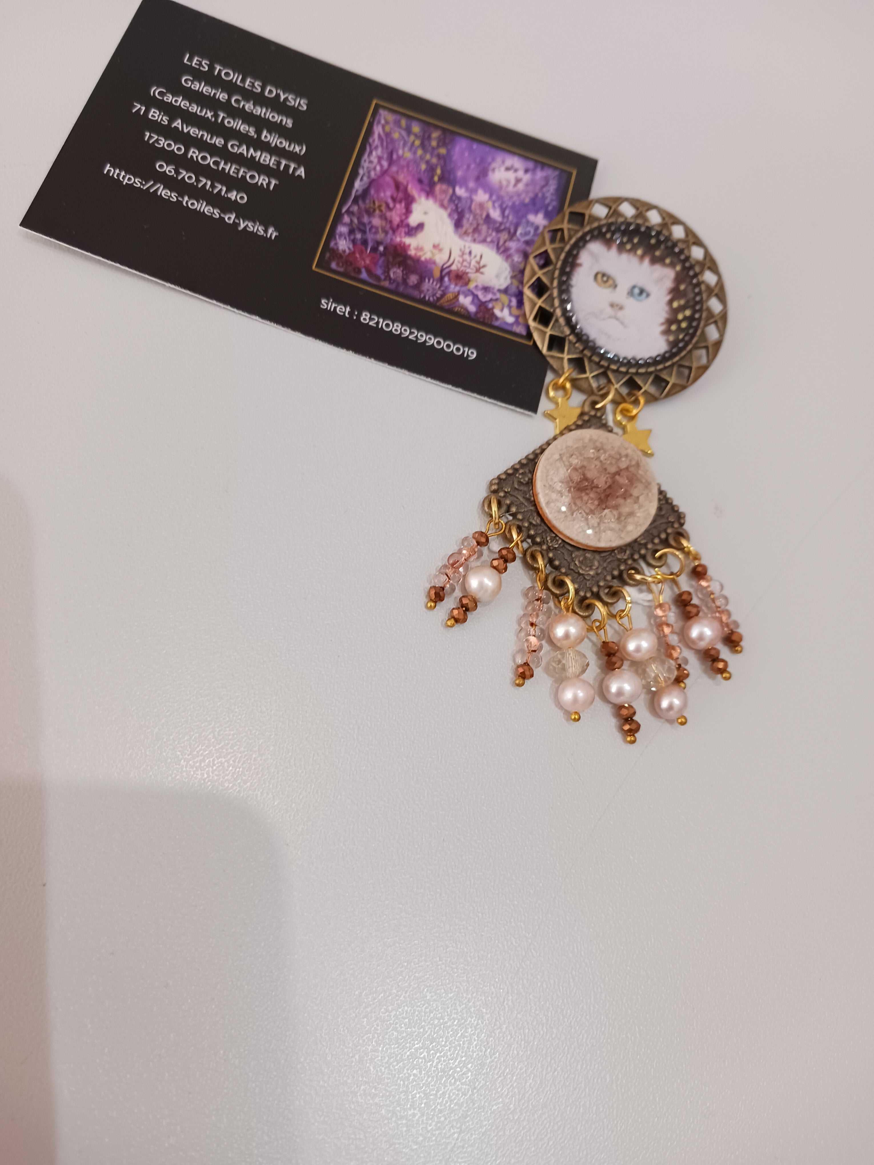 Broche Chat comète