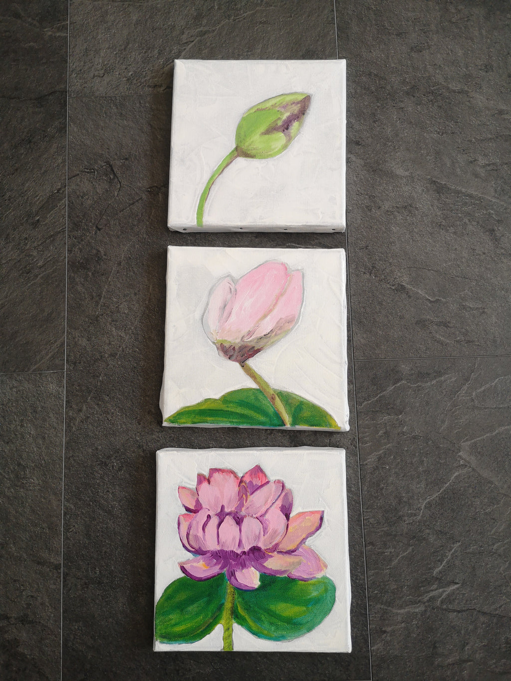 Triptyque "Evolution d'un nénuphar"