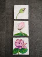 Triptyque "Evolution d'un nénuphar"