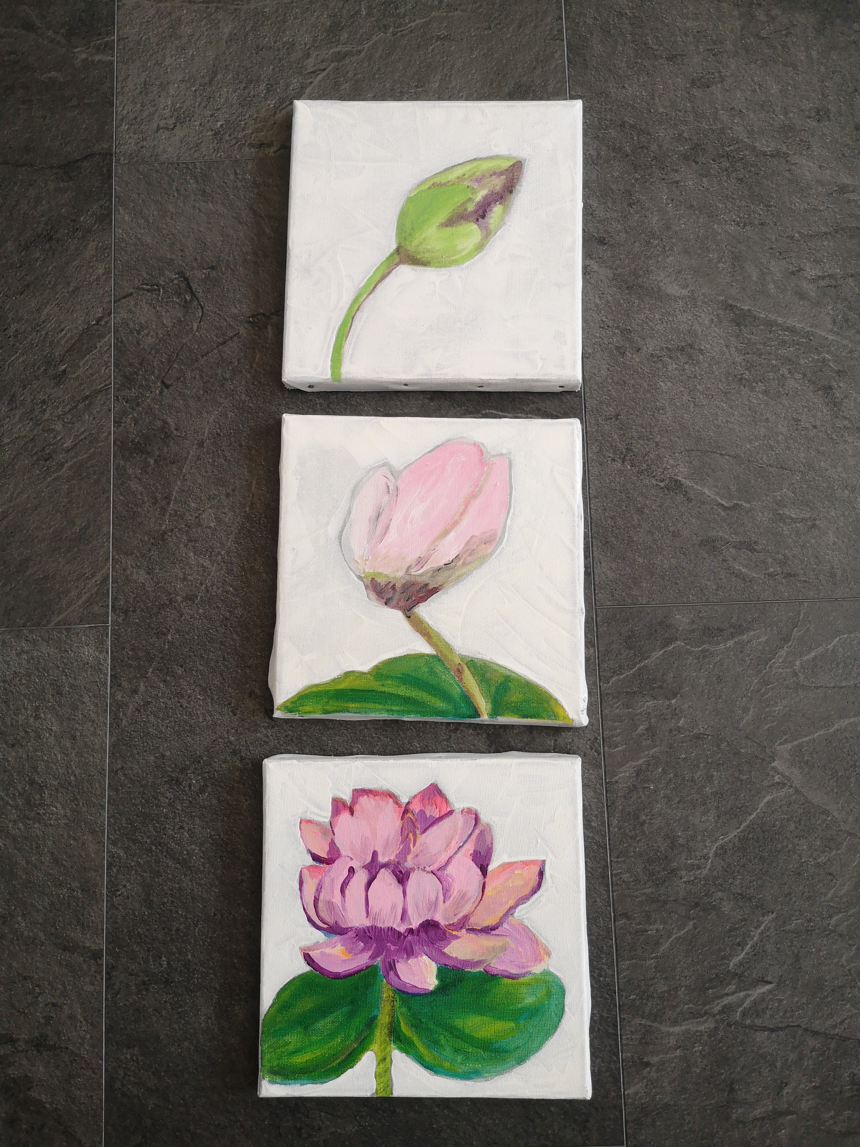 Triptyque "Evolution d'un nénuphar"