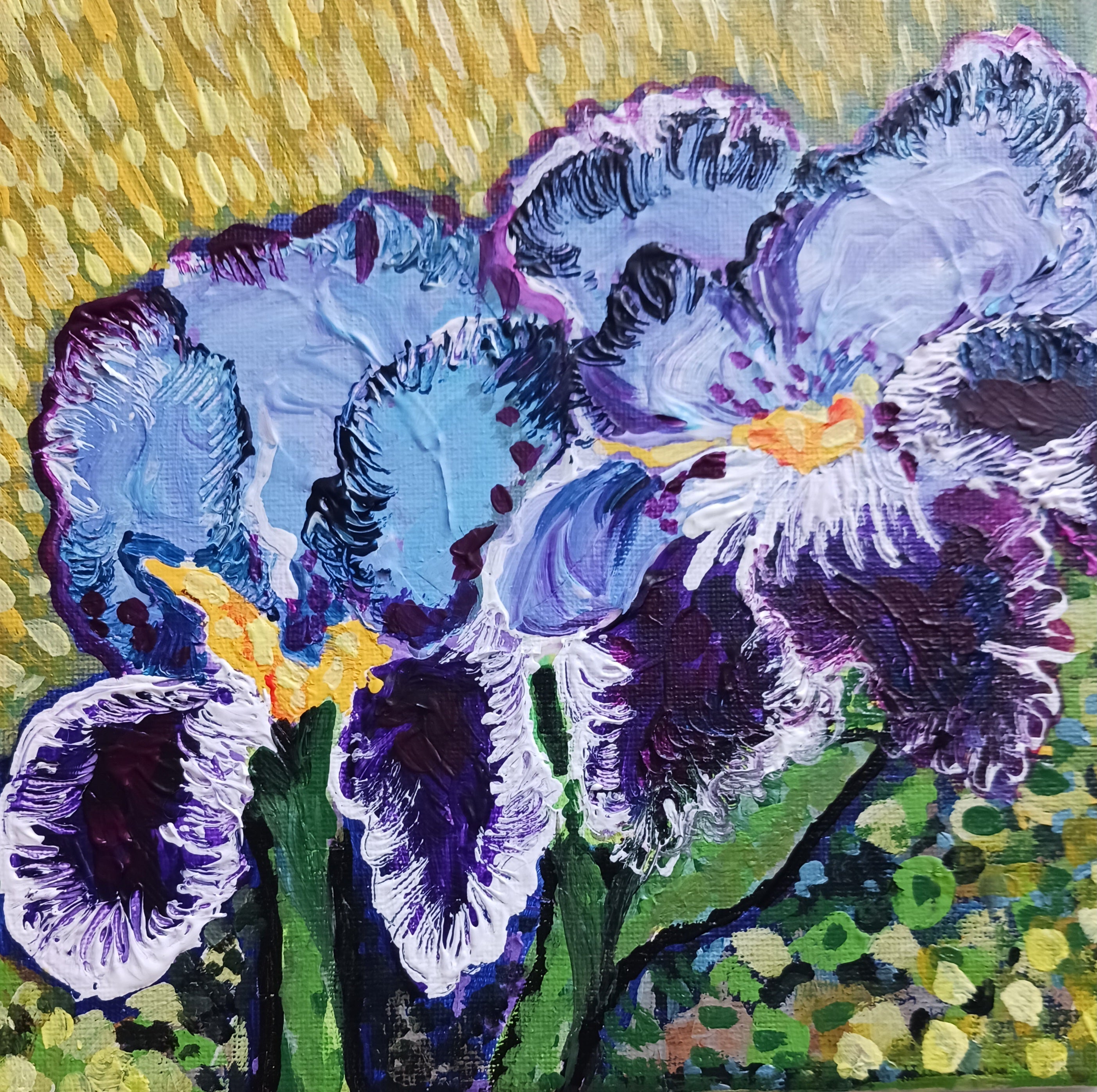 Les Iris
