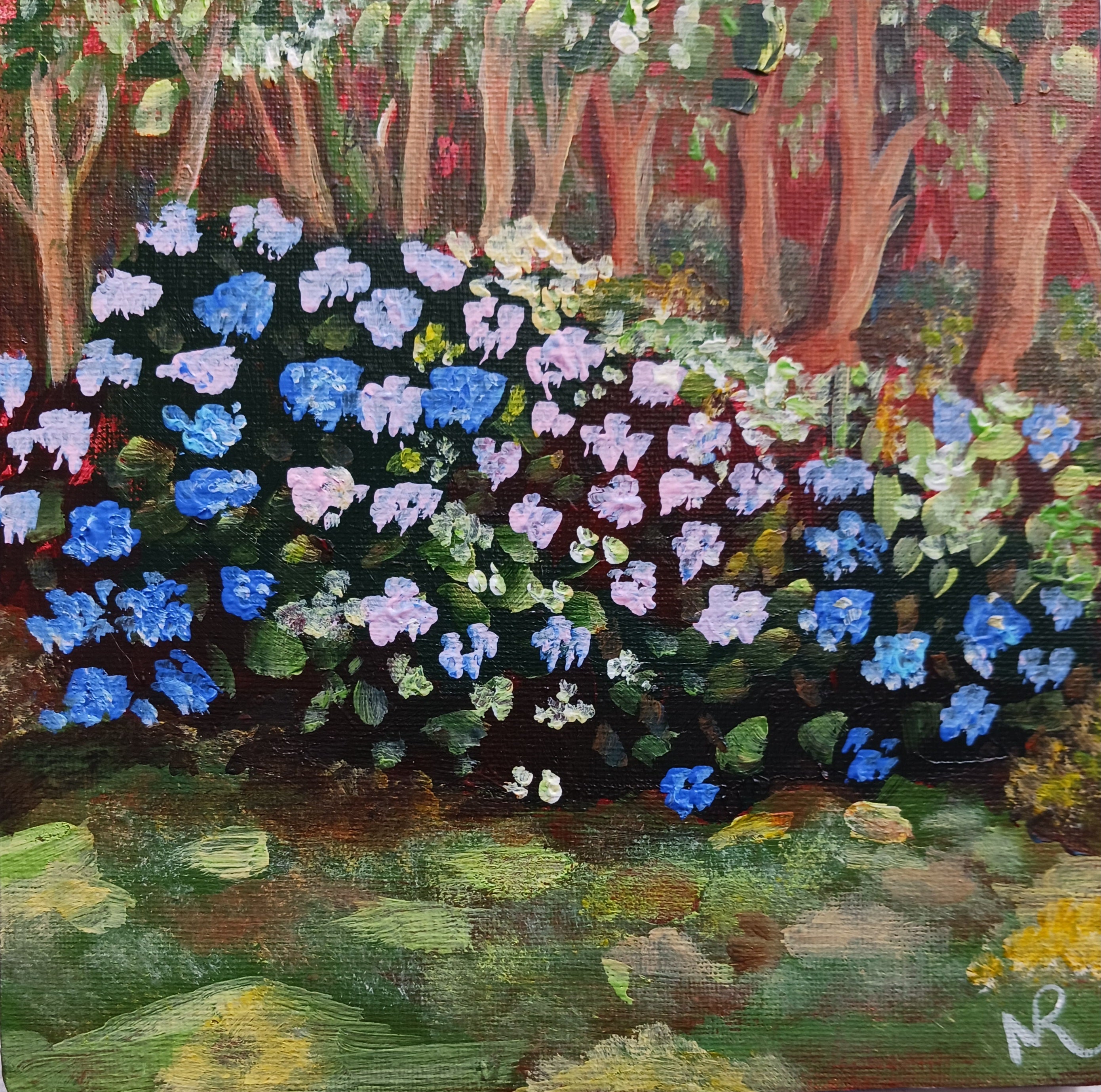 Massif d'hortensias