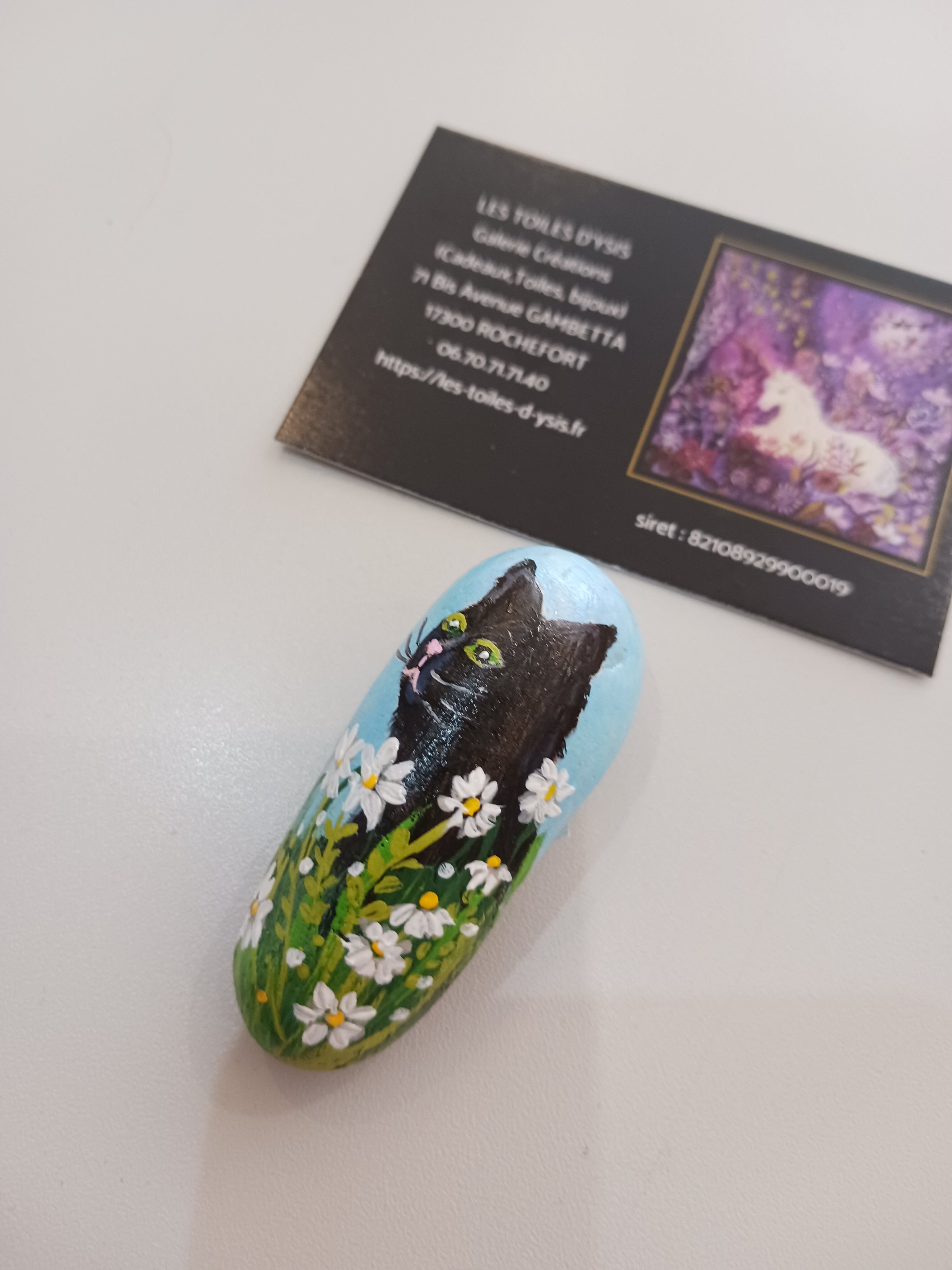 Petit noiraud dans les marguerites