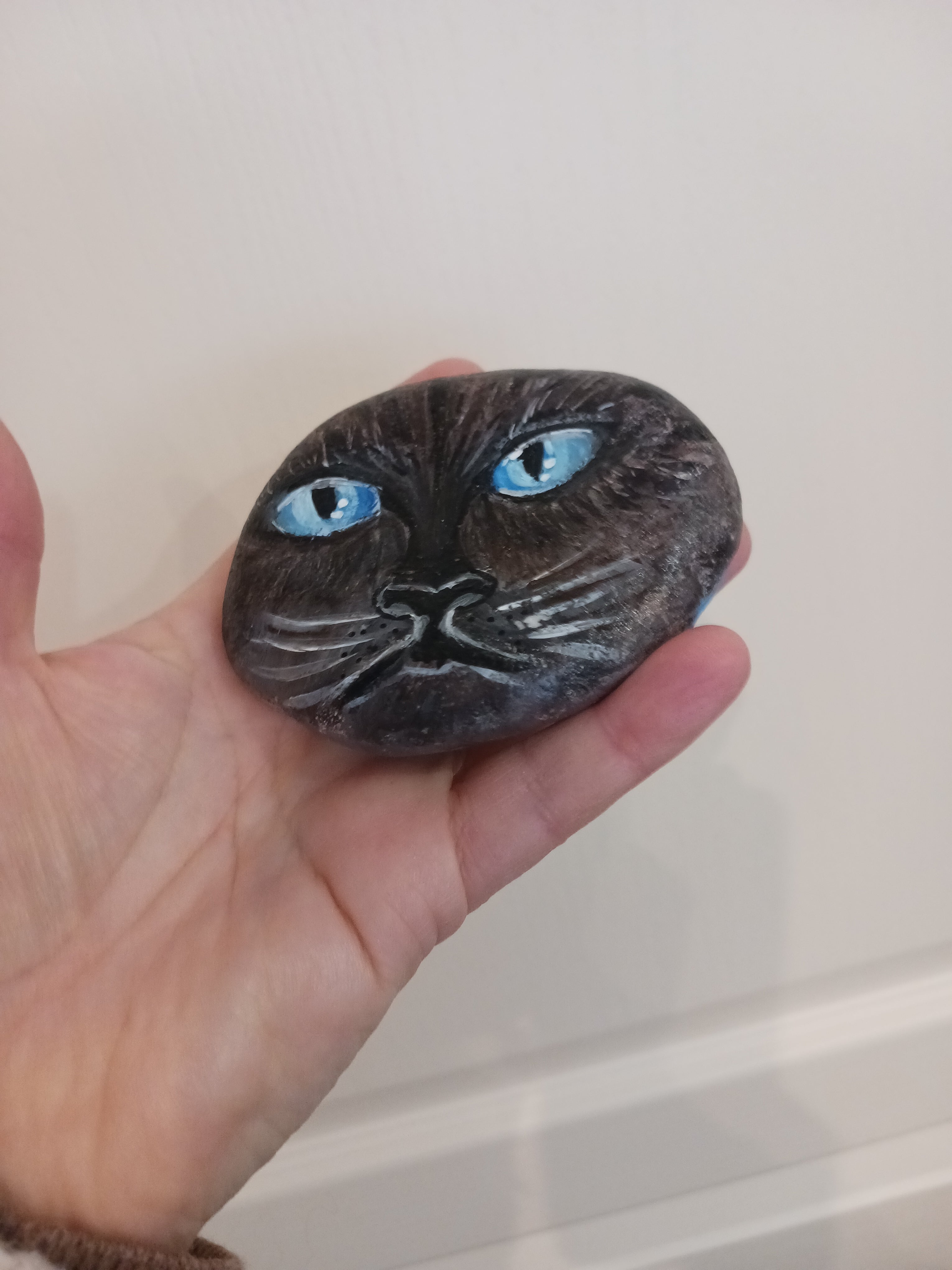 oeil de chat