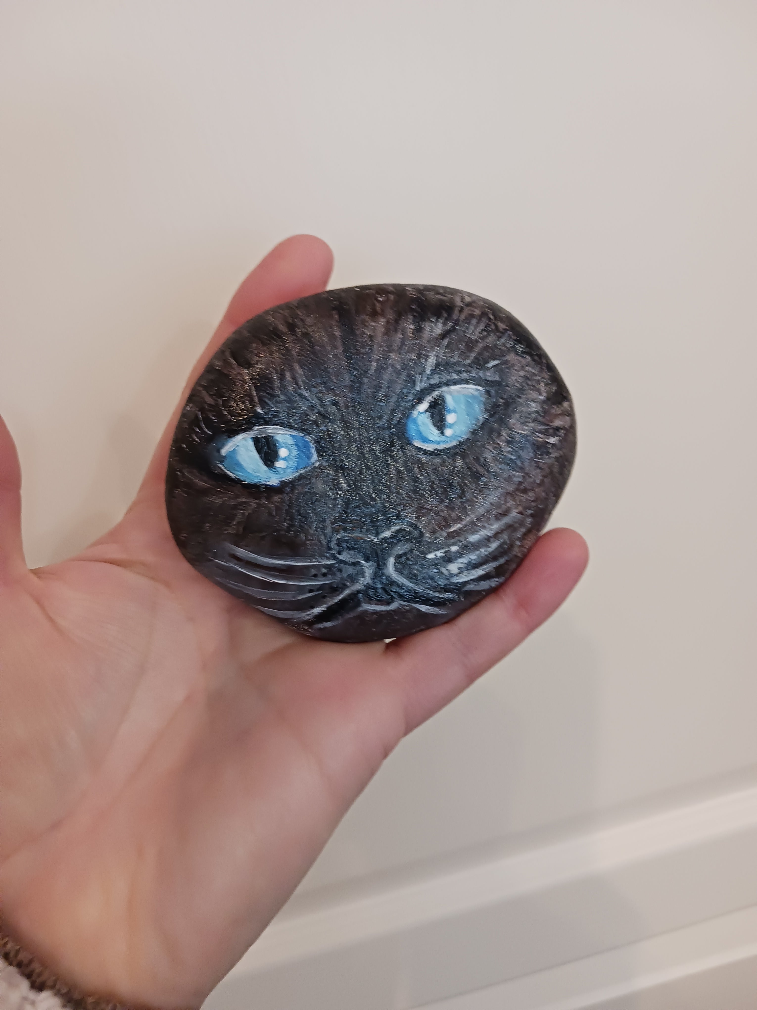 galet yeux de chat