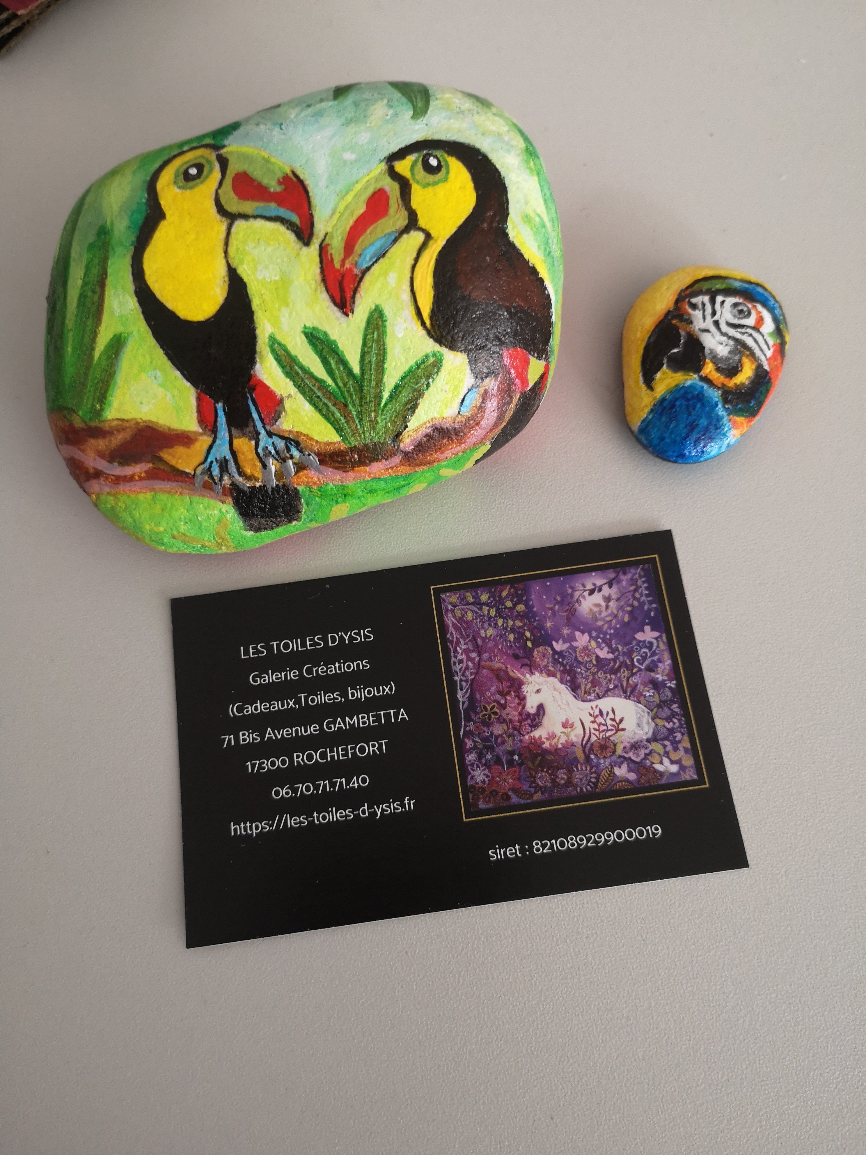 Galets oiseaux